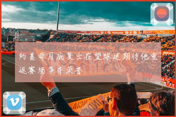 约基奇月底复出在望球迷期待他重返赛场争夺荣誉